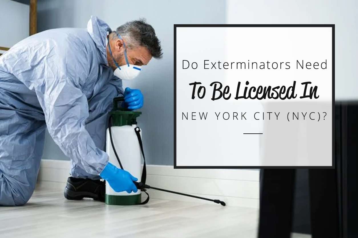 Do Exterminators Need To Be Licensed In NYC