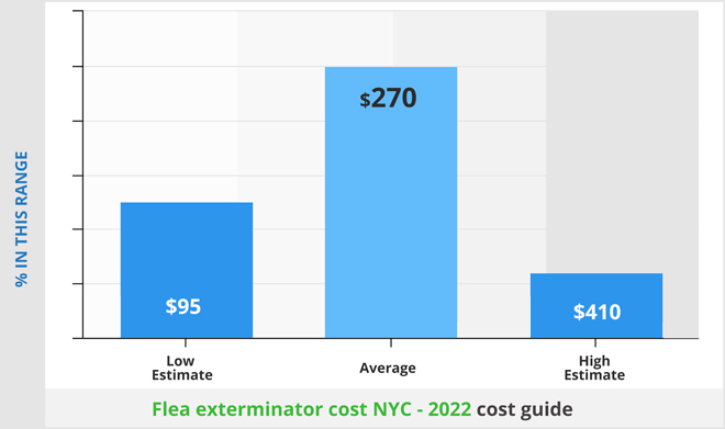 Flea-exterminator-cost-NYC---2022-cost-guide