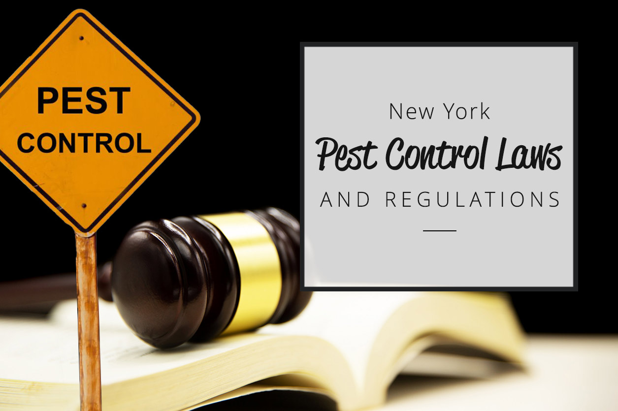 New York Pest Control Laws and Regulations
