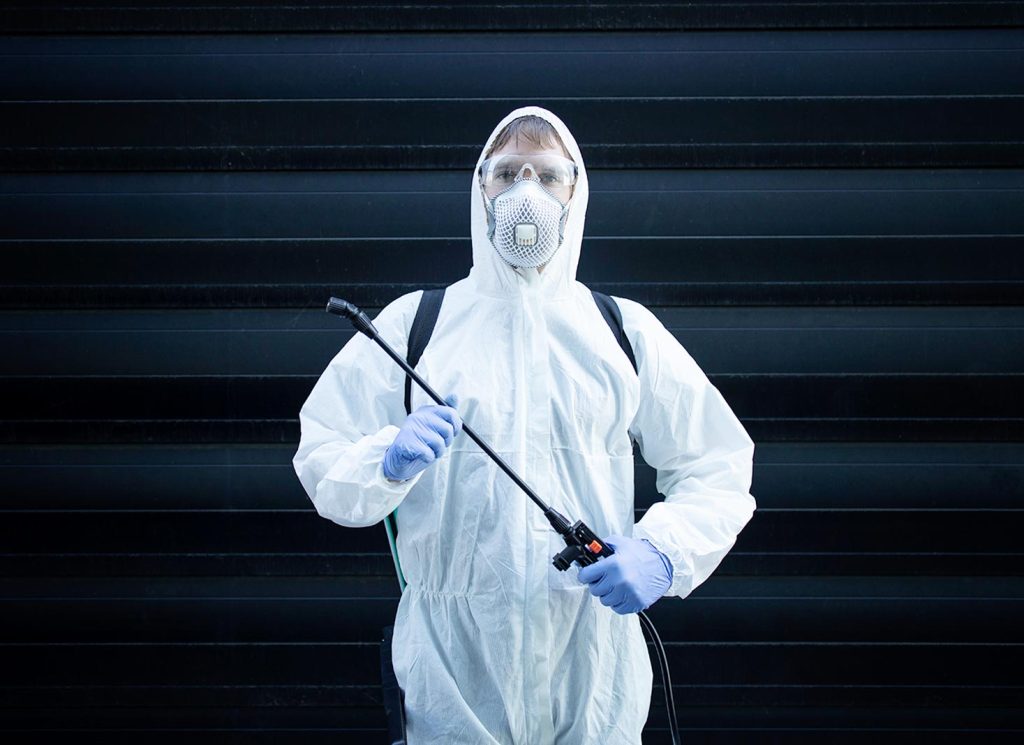 Strategy for Picking the Best Pest Control Company