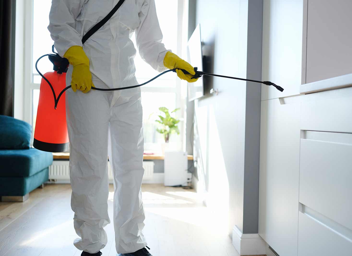 Pest-control-tips-for-NYC-landlords