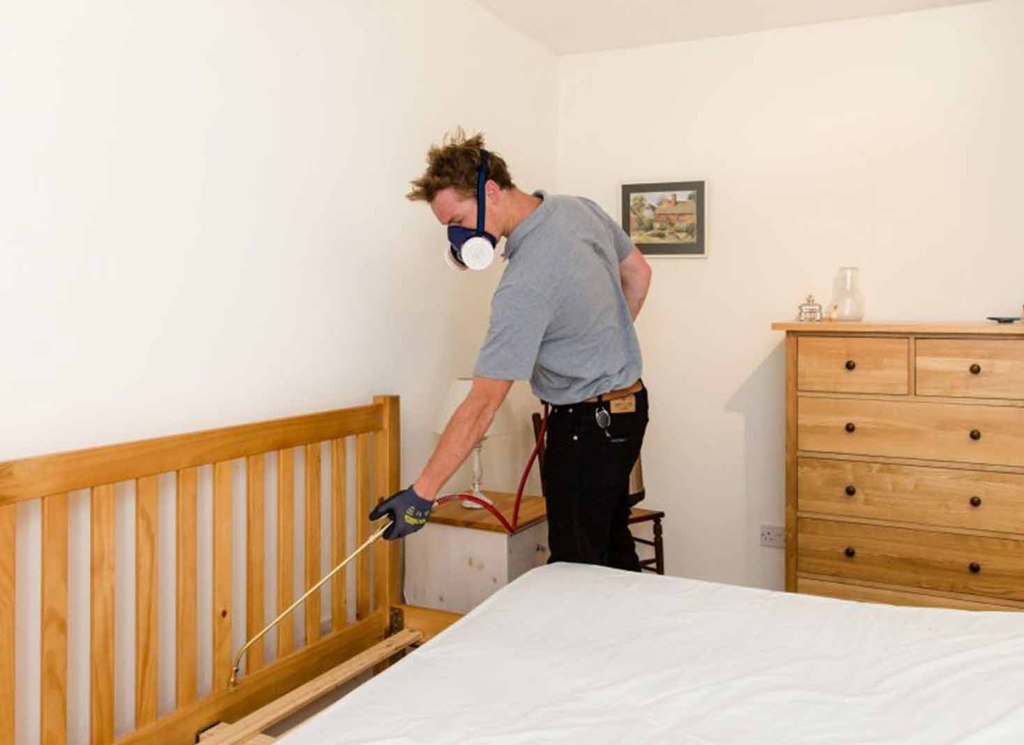Responsible for bed bug treatment in a rental property in NY