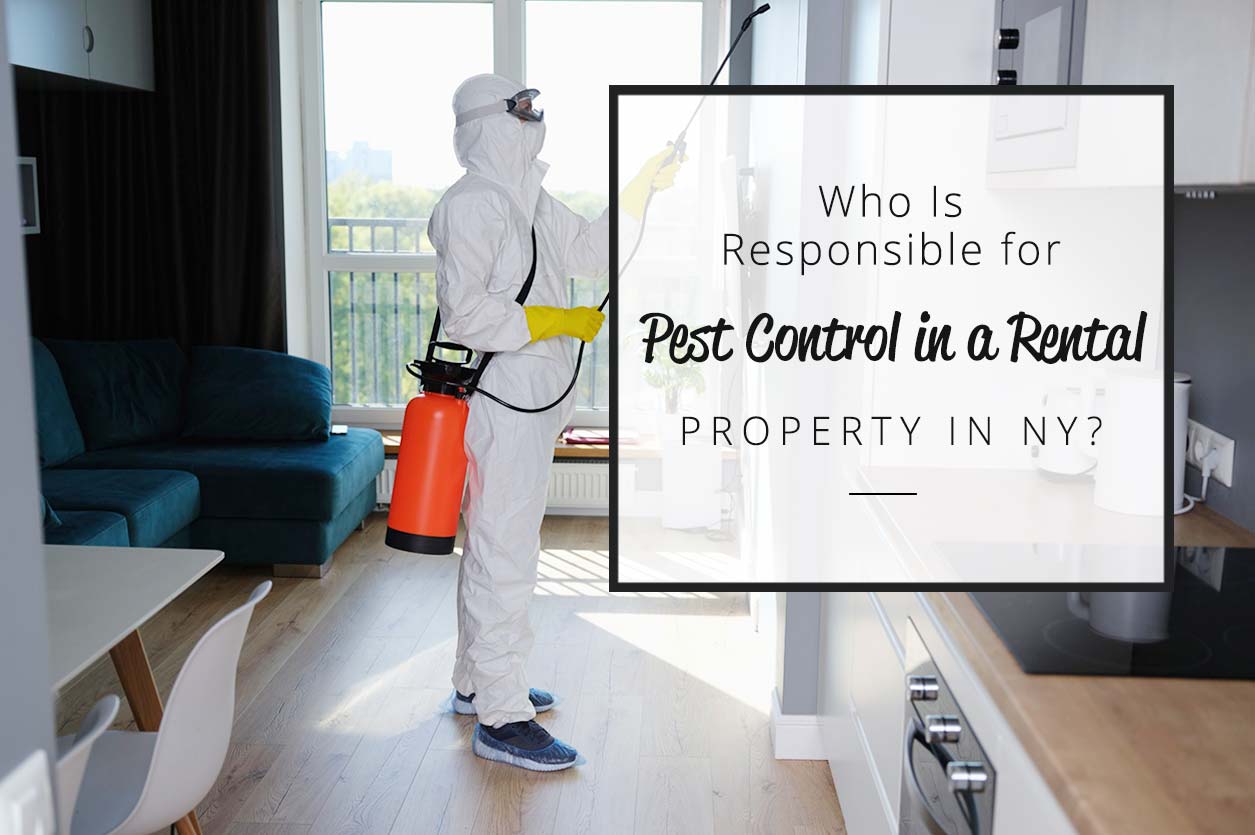 Responsible for pest control in a rental property NY