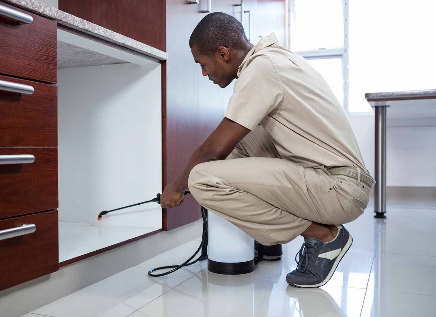 Tenant’s responsibilities regarding pest control