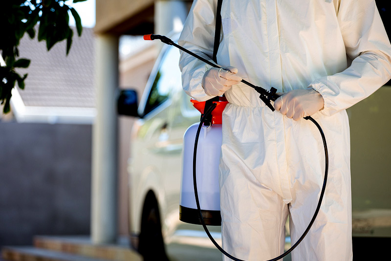 What to avoid when selecting an exterminator in NY