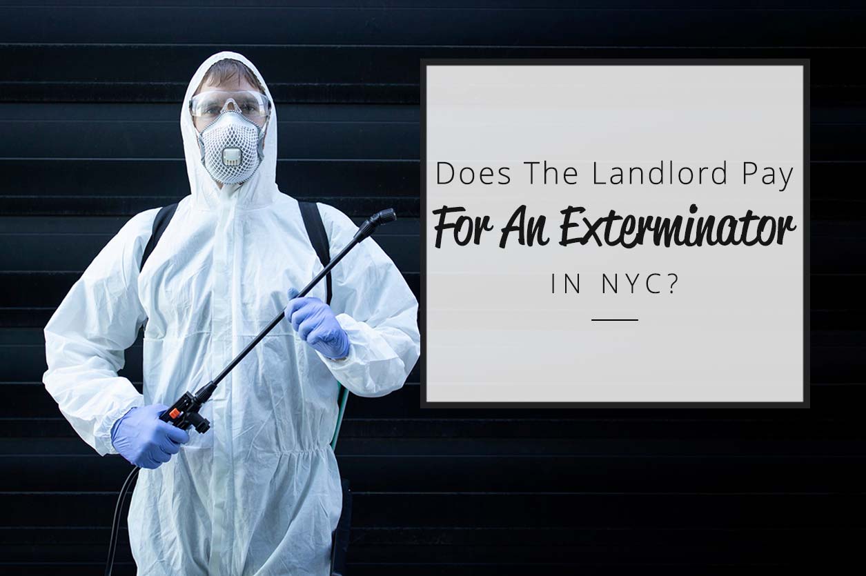 Does-the-landlord-pay-for-an-exterminator-in-NYC