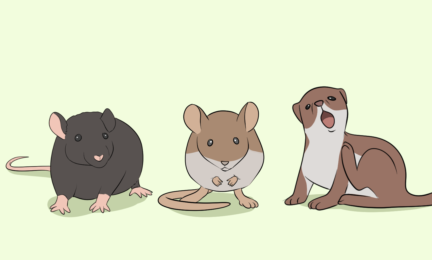 Rats vs Mice and Ermines