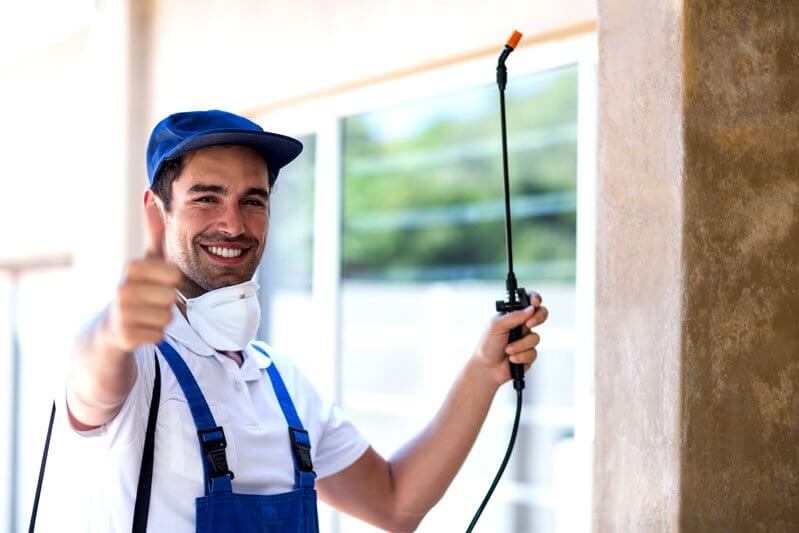How-to-prevent-pests-infestation-in-your-commercial-property
