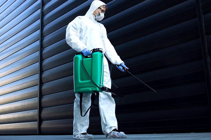 Who-Is-Responsible-for-Pest-Control-in-a-Commercial-Rental-Property